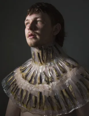 Vents Āboltiņš